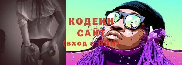 амф Няндома
