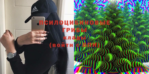 соль курить ск Богданович