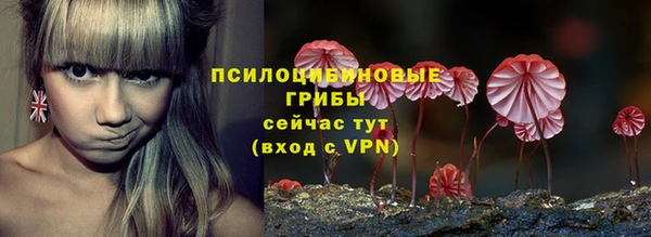 спайс Беломорск