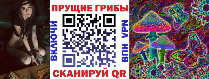 МЕГА ТОР  Мариинский Посад  Псилоцибиновые грибы Psilocybe 